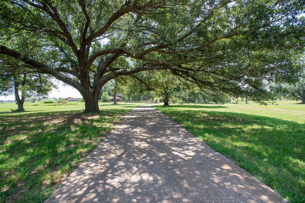 7470 FM 317, Athens, TX 75752