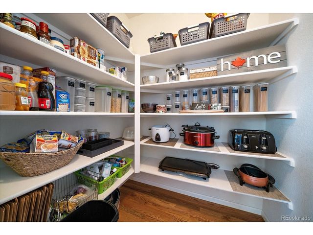 22455 Laurel Oak Dr, Parker, CO 80138