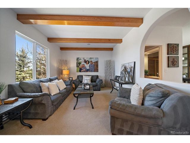 22455 Laurel Oak Dr, Parker, CO 80138