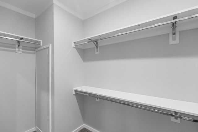 5704 S County Road 49, Slocomb, AL 36375