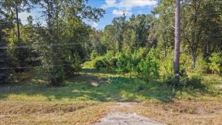 0 Cottonwood Road, Cottonwood, AL 36320