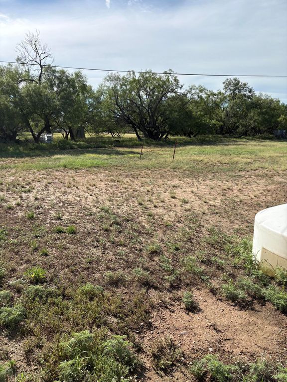 Image 29 of property listing at 1294 W Moss Street, Paint Rock, TX 76866