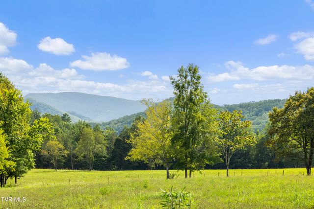 131 Brown Drive, Chuckey, TN 37641