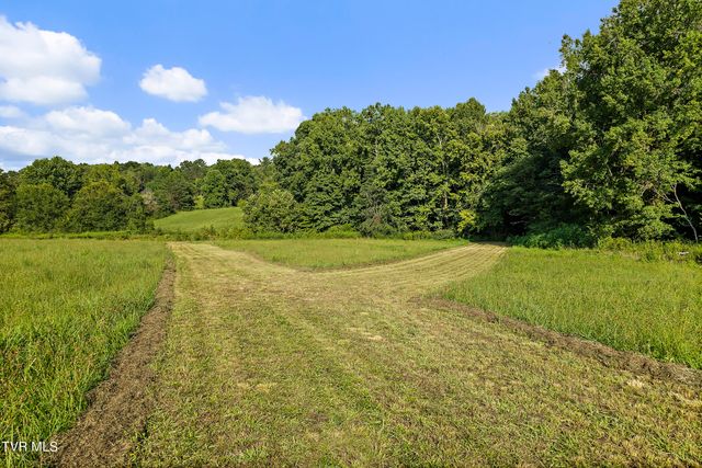 131 Brown Drive, Chuckey, TN 37641