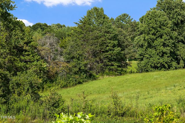 131 Brown Drive, Chuckey, TN 37641