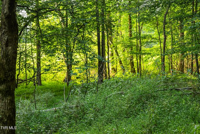 131 Brown Drive, Chuckey, TN 37641