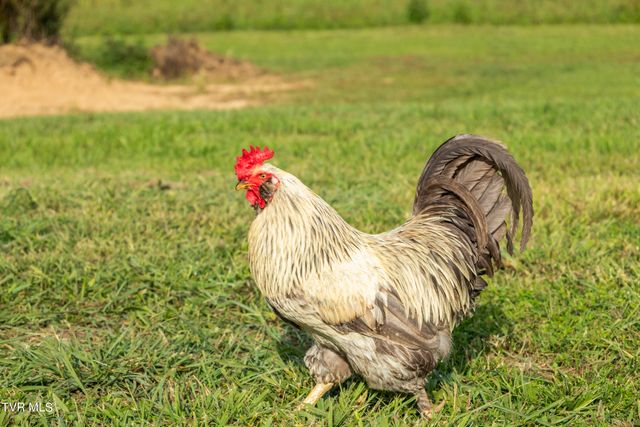 131 Brown Drive, Chuckey, TN 37641