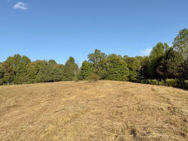 2210 Old Prospect Rd, Woodbury, TN 37190