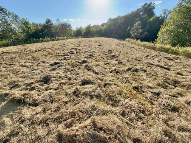 2210 Old Prospect Rd, Woodbury, TN 37190