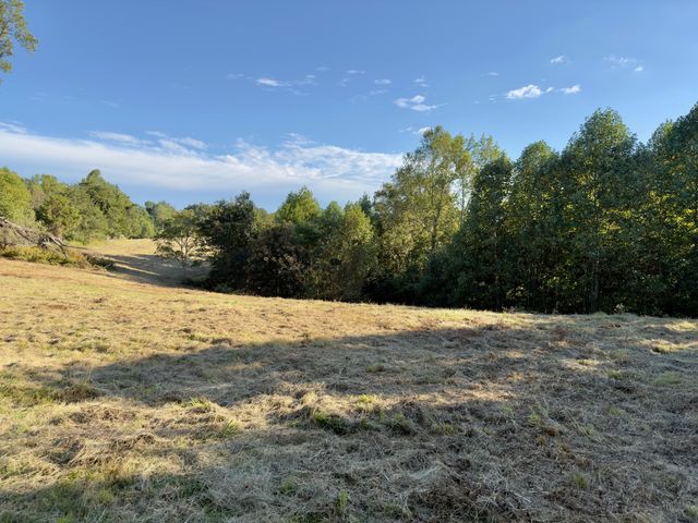 2210 Old Prospect Rd, Woodbury, TN 37190