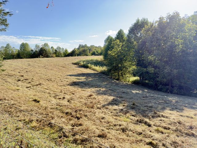 2210 Old Prospect Rd, Woodbury, TN 37190