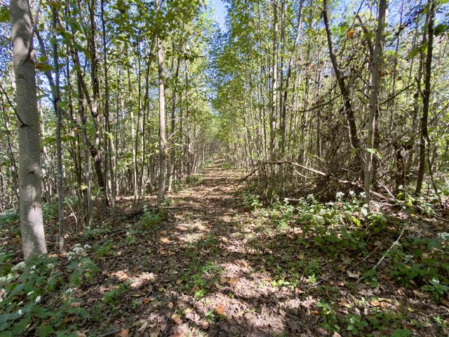 2210 Old Prospect Rd, Woodbury, TN 37190