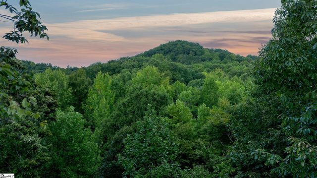 124 Grey Widgeon Trail, Marietta, SC 29661