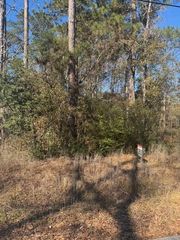 TBD Sycamore Drive, Montgomery, TX 77356