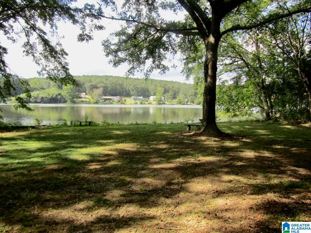 11241 WOODLAND DRIVE, Mccalla, AL 35111