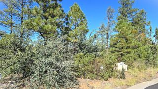 440 E Stoneridge Circle E 375, Show Low, AZ 85901