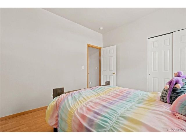 1116 Summit Ct, Windsor, CO 80550