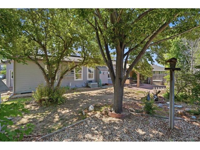 1116 Summit Ct, Windsor, CO 80550