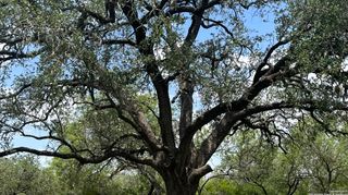 946 county road 2863, Bigfoot, TX 78005