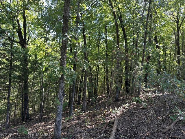 18288 Benson Lane, Heavener, OK 74937