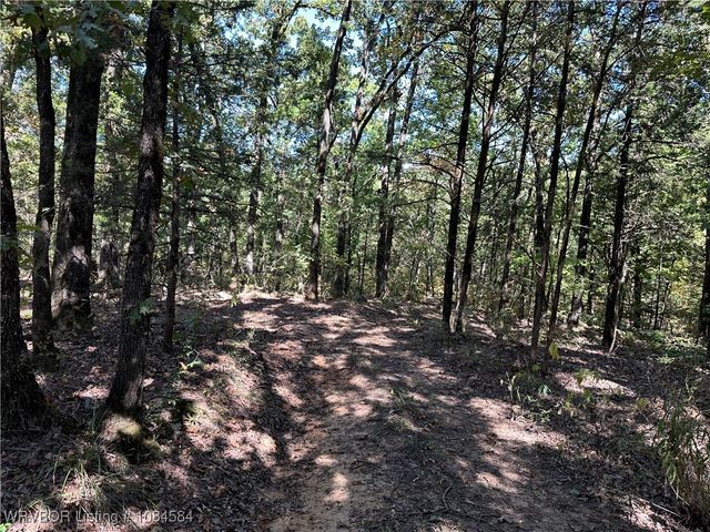 18288 Benson Lane, Heavener, OK 74937