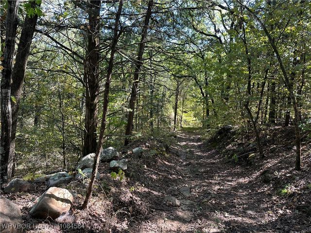 18288 Benson Lane, Heavener, OK 74937