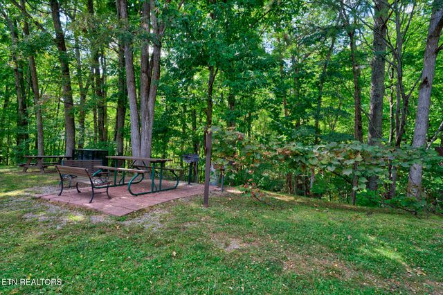 1081 Cove Rd 613, Sevierville, TN 37876