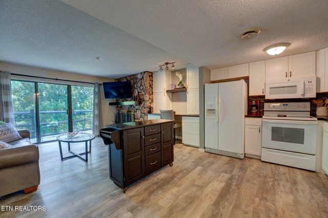 1081 Cove Rd 613, Sevierville, TN 37876