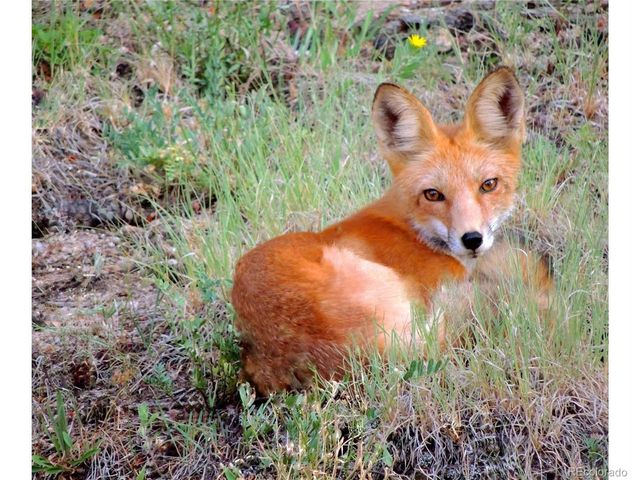 173 Silver Cloud Ln, Boulder, CO 80302