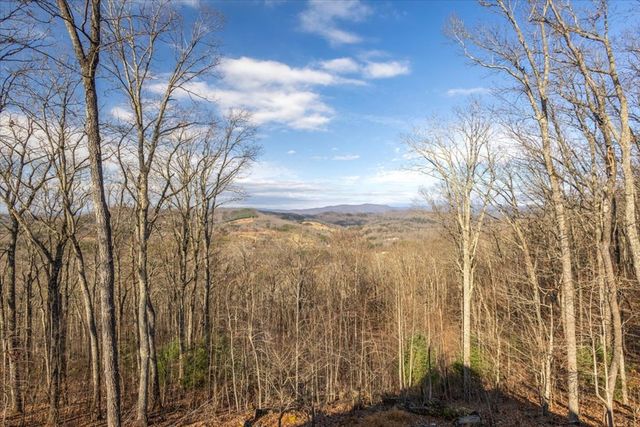 1706 Deer Valley Drive, Warne, NC 28909