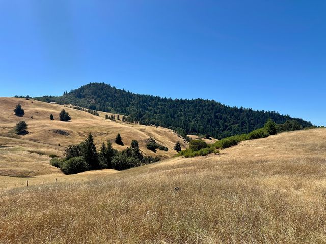 5055 Peak Road, Zenia, CA 95595