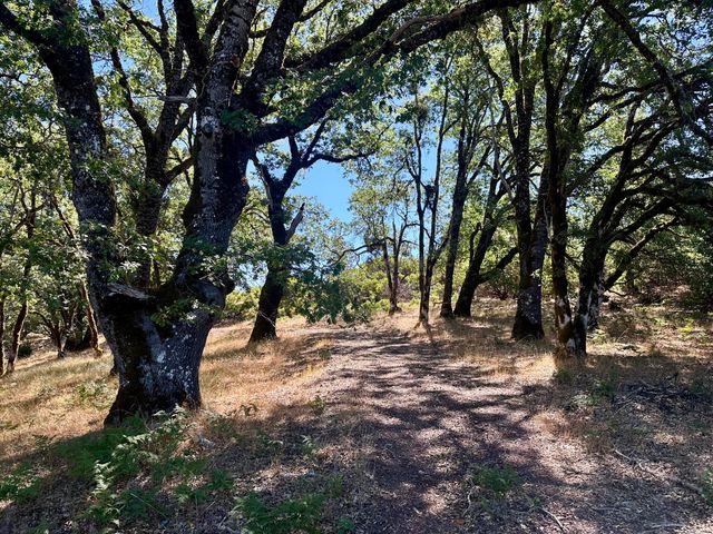 5055 Peak Road, Zenia, CA 95595