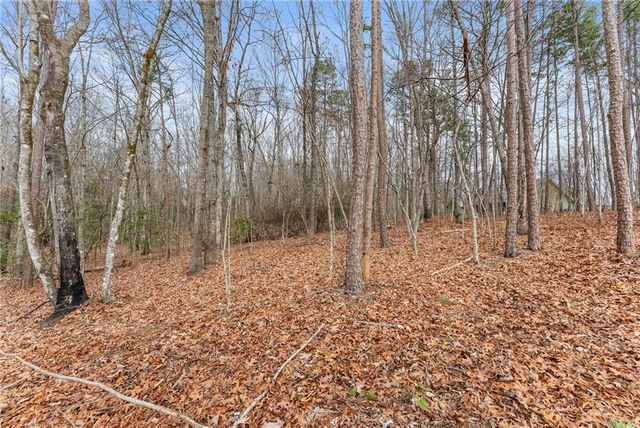 206 Shoals Way, Clarkesville, GA 30523