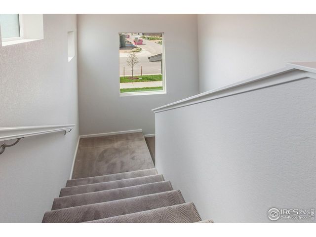 6116 Dutch Dr, Timnath, CO 80547