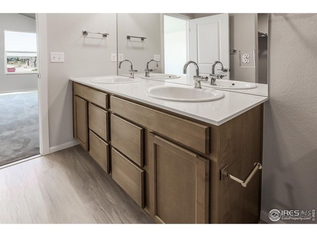 6116 Dutch Dr, Timnath, CO 80547