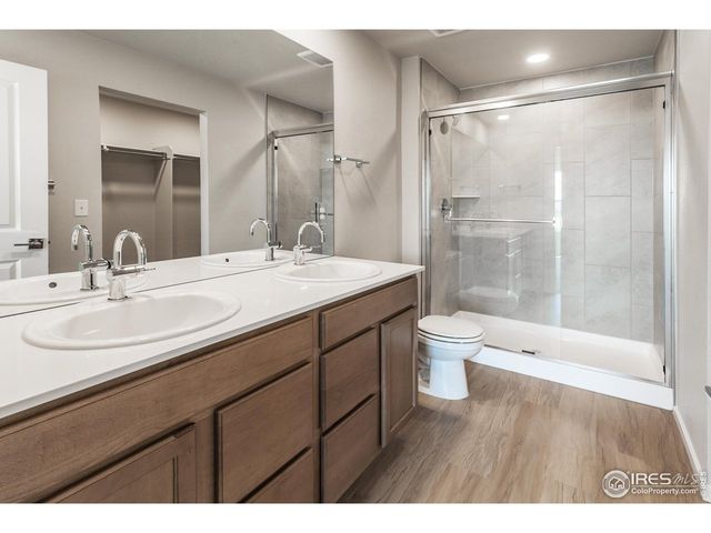 6116 Dutch Dr, Timnath, CO 80547