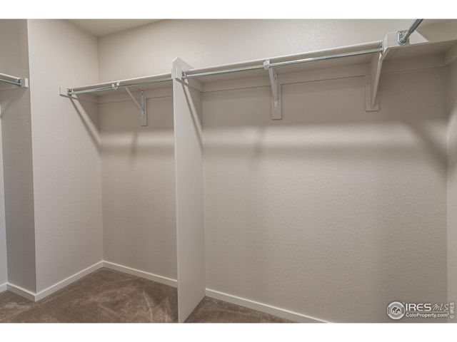 6116 Dutch Dr, Timnath, CO 80547