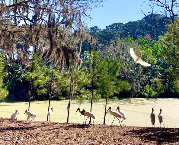 129 Ave Of Oaks, Daufuskie Island, SC 29915