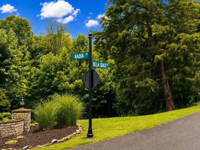 0 Bella Grace Drive, Smithville, TN 37166
