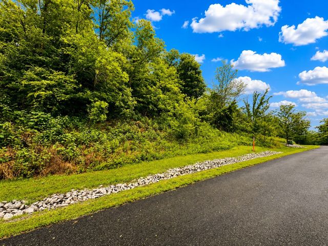 0 Bella Grace Drive, Smithville, TN 37166