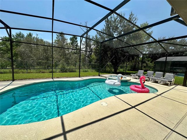 9110 STROMBOLI COURT, Kissimmee, FL 34747