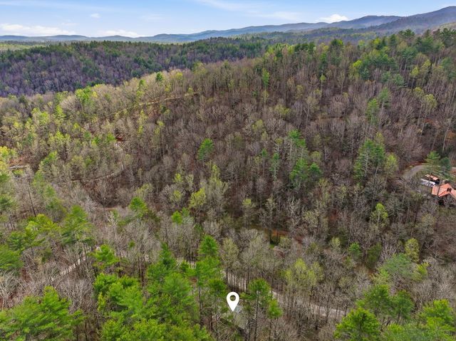 1780 Conasauga Road, Ellijay, GA 30540