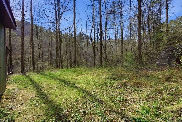 1780 Conasauga Road, Ellijay, GA 30540