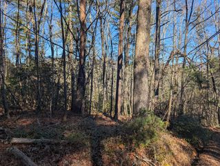 Lot J251 Pine Ridge Court, Ellijay, GA 30536