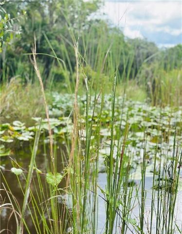 DEER ROAD, Frostproof, FL 33843