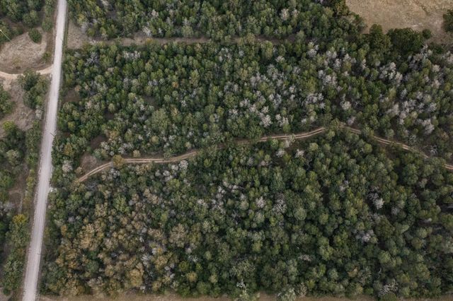 TBD St Delight RD, Paige, TX 78659