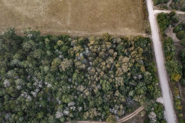 TBD St Delight RD, Paige, TX 78659