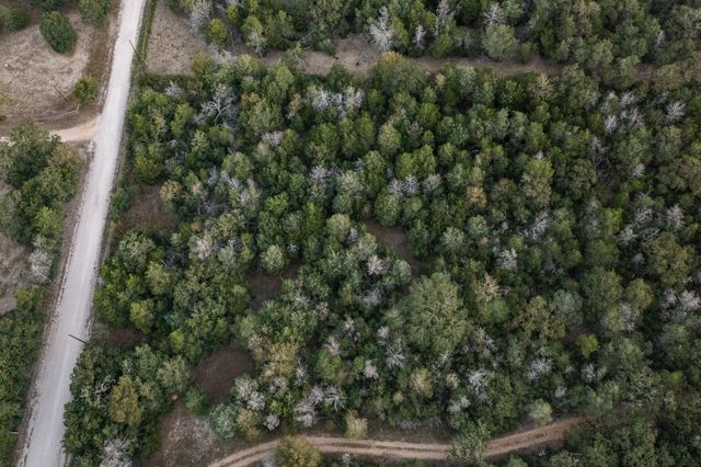 TBD St Delight RD, Paige, TX 78659