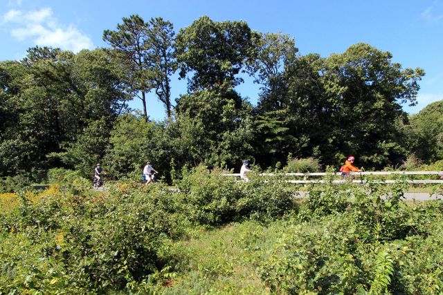 42 Old Colony Way APT 30, Orleans, MA 02653