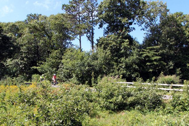 42 Old Colony Way APT 30, Orleans, MA 02653